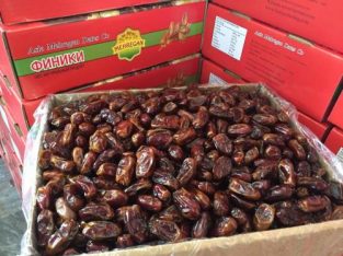 صادرات خرمای جنوب iran