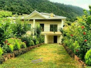 خرید ویلا نور جنگلی کد۳۵۰