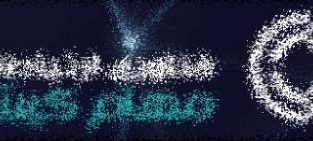 مرکز تخصصی شبکه و اینترنت و امنیت